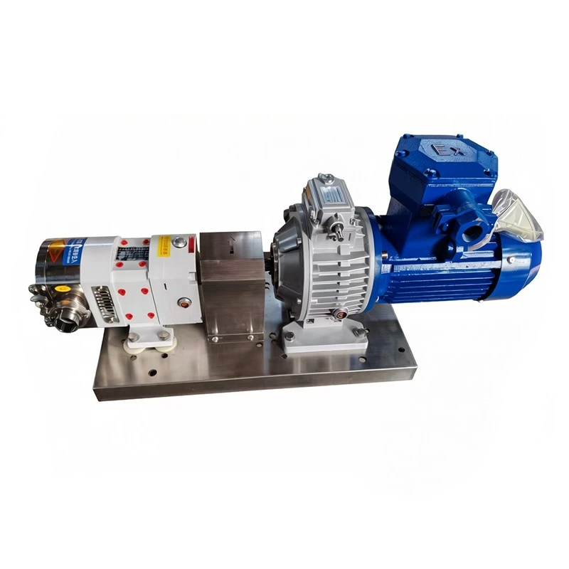 Cam Rotor Pump best