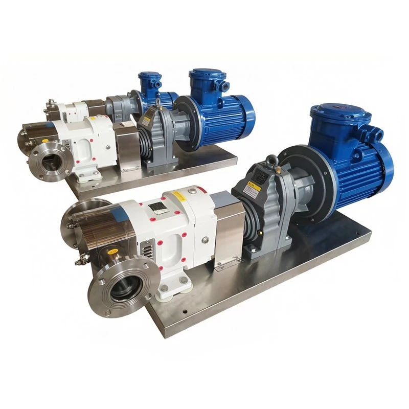 Cam Rotor Pump factory