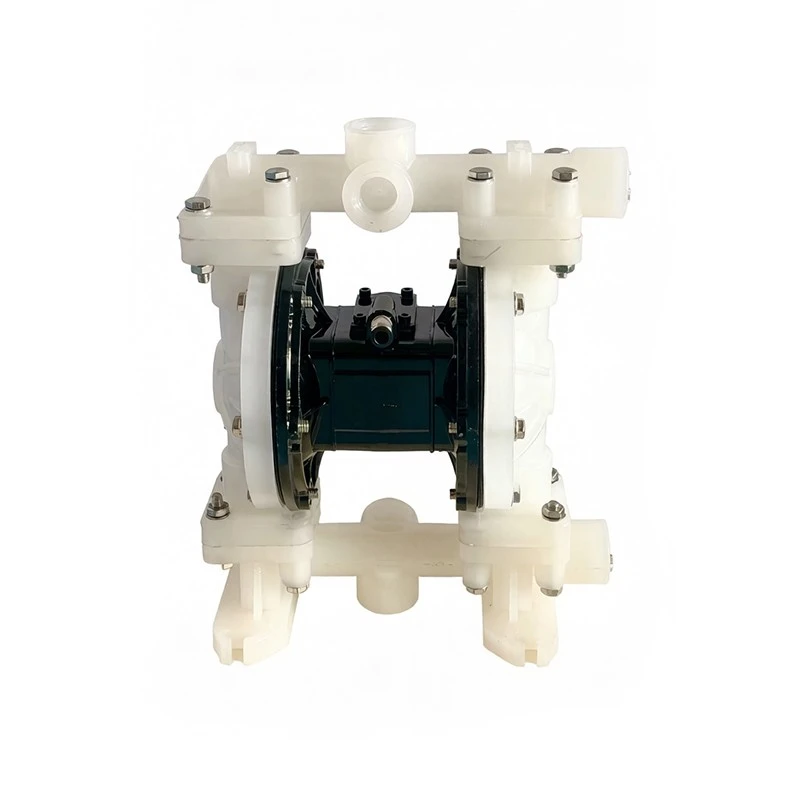 Chemical Resistant Diaphragm Pump best