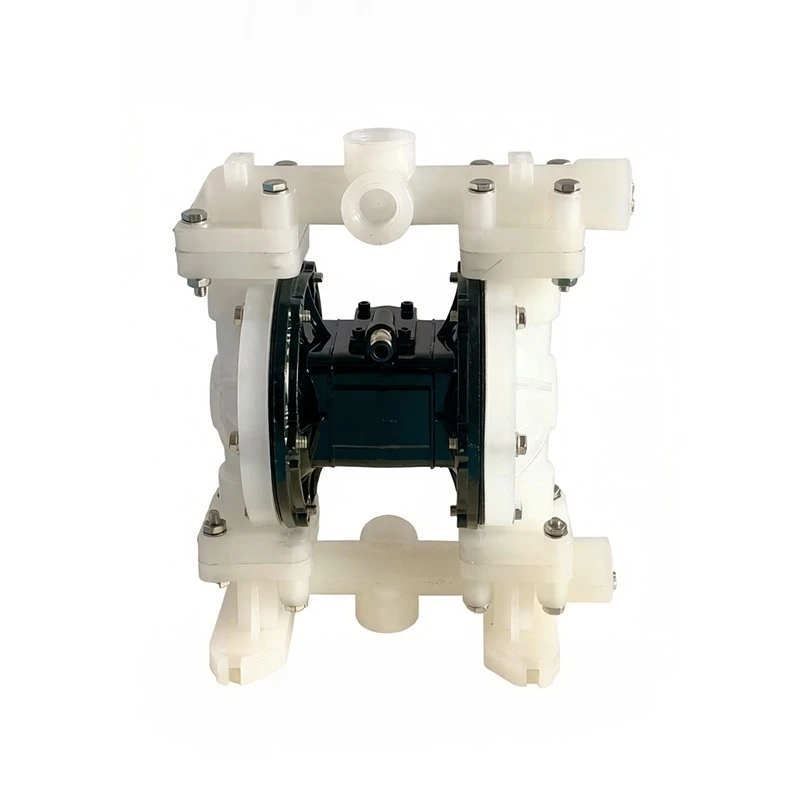 Chemical Resistant Diaphragm Pump high quality