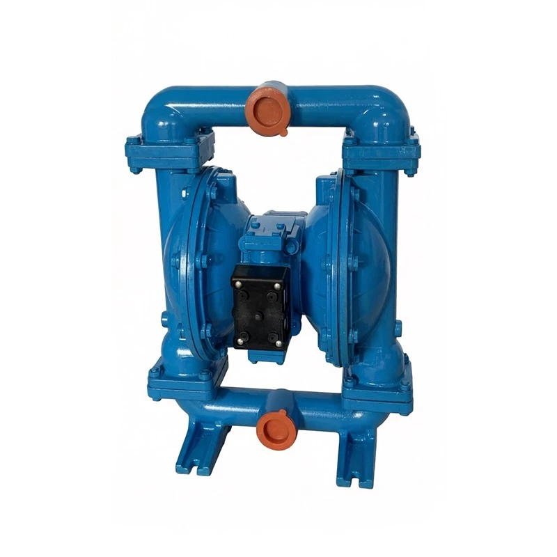 Explosion Proof Diaphragm Pump best