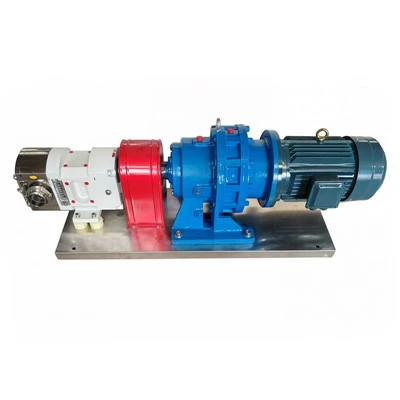 Stainless Steel Lobe Pumps