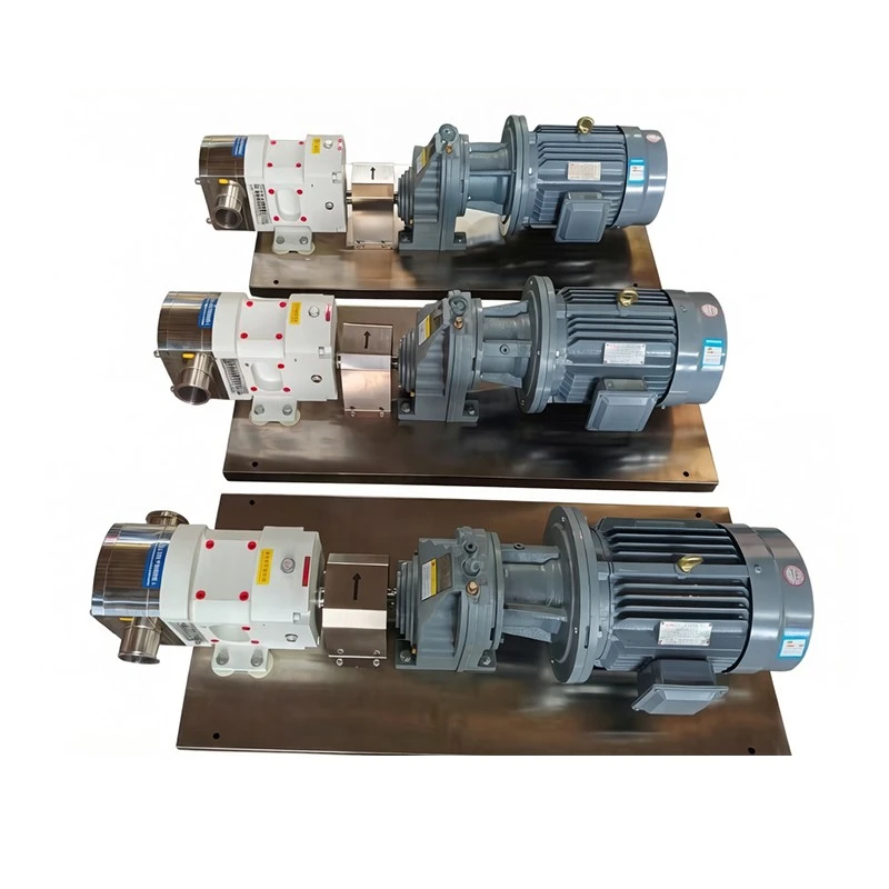 Stainless Steel Lobe Pumps best