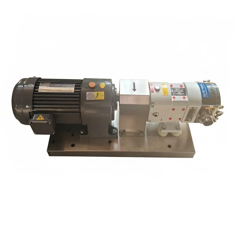 Stainless Steel Lobe Pumps factory